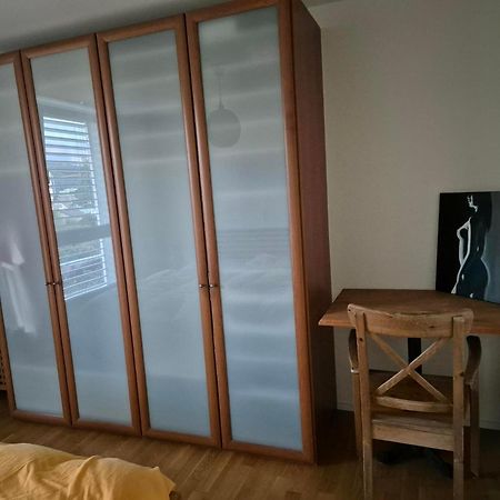 Zimmer In Penthouse-Wohnung Windisch الغرفة الصورة