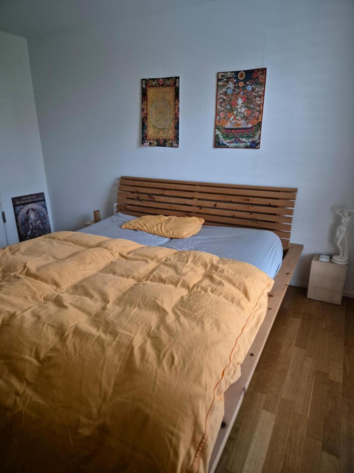Zimmer In Penthouse-Wohnung Windisch الغرفة الصورة