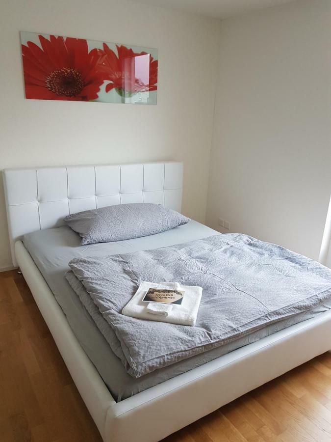Zimmer In Penthouse-Wohnung Windisch المظهر الخارجي الصورة