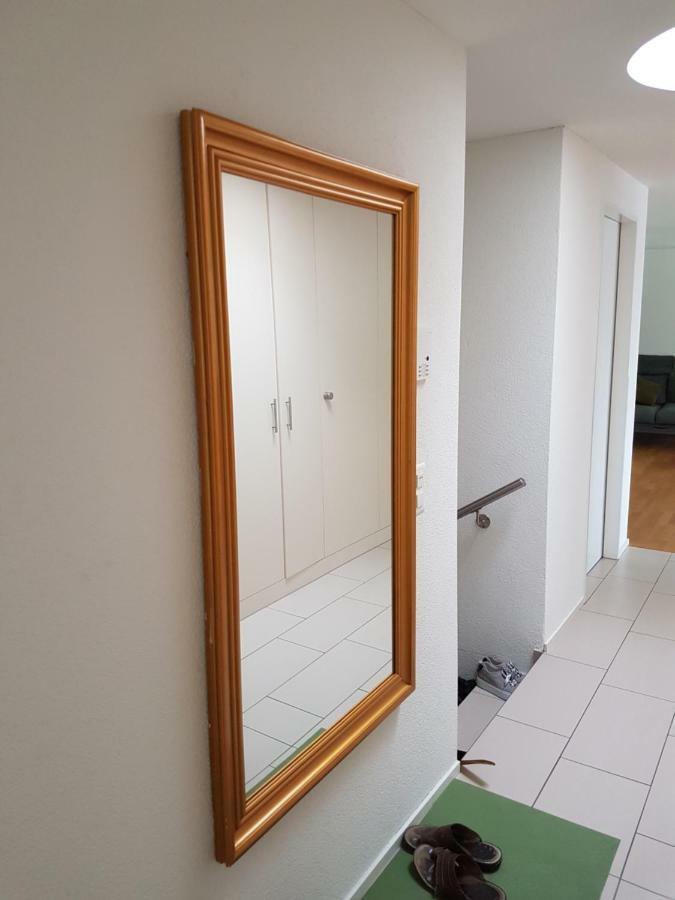 Zimmer In Penthouse-Wohnung Windisch المظهر الخارجي الصورة