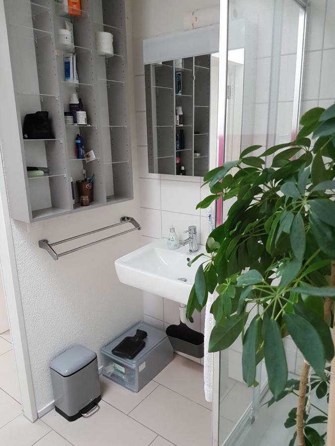 Zimmer In Penthouse-Wohnung Windisch المظهر الخارجي الصورة