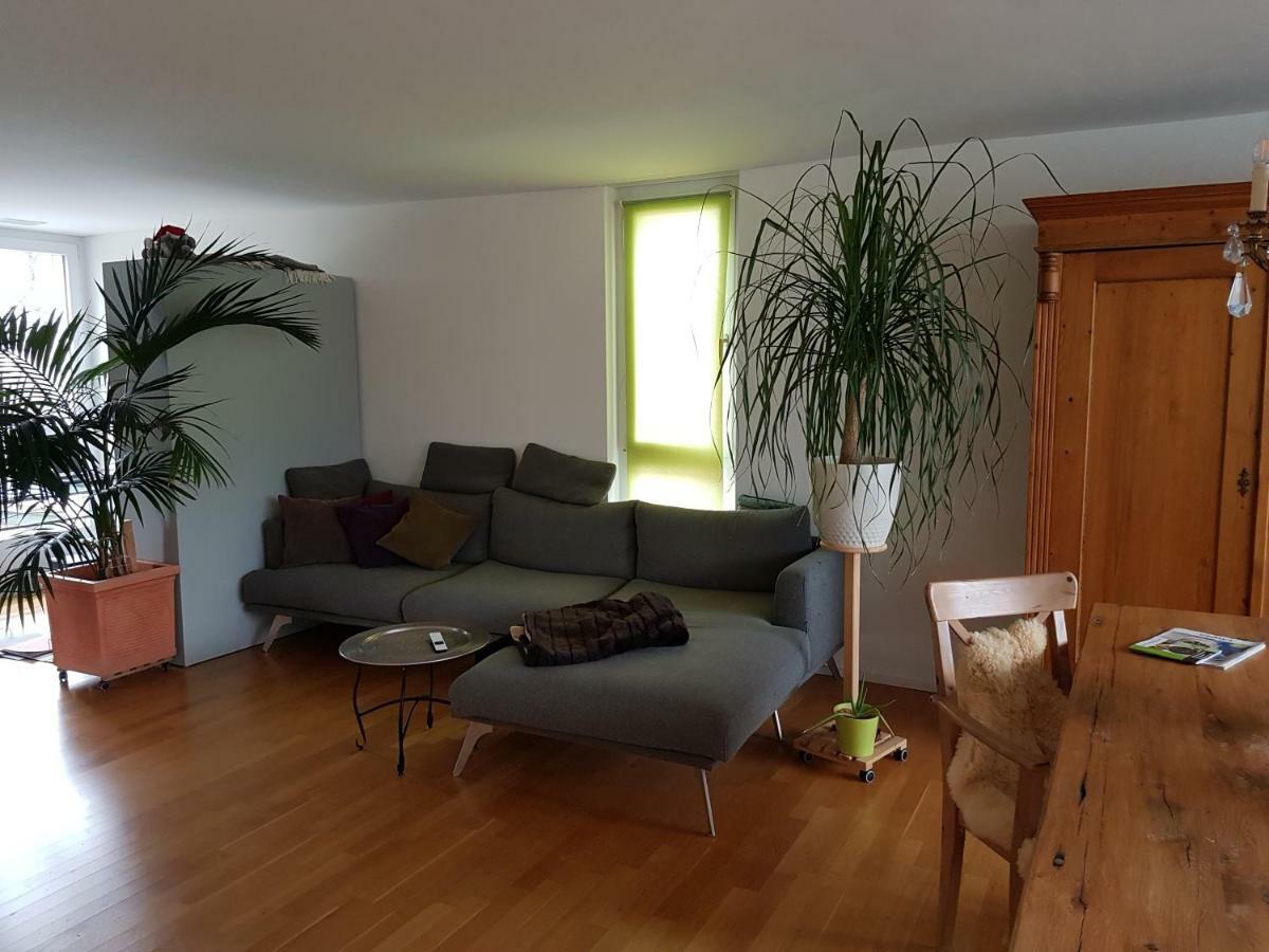 Zimmer In Penthouse-Wohnung Windisch المظهر الخارجي الصورة