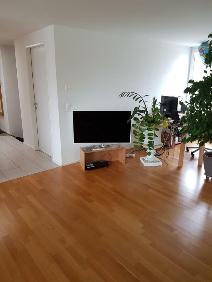 Zimmer In Penthouse-Wohnung Windisch المظهر الخارجي الصورة