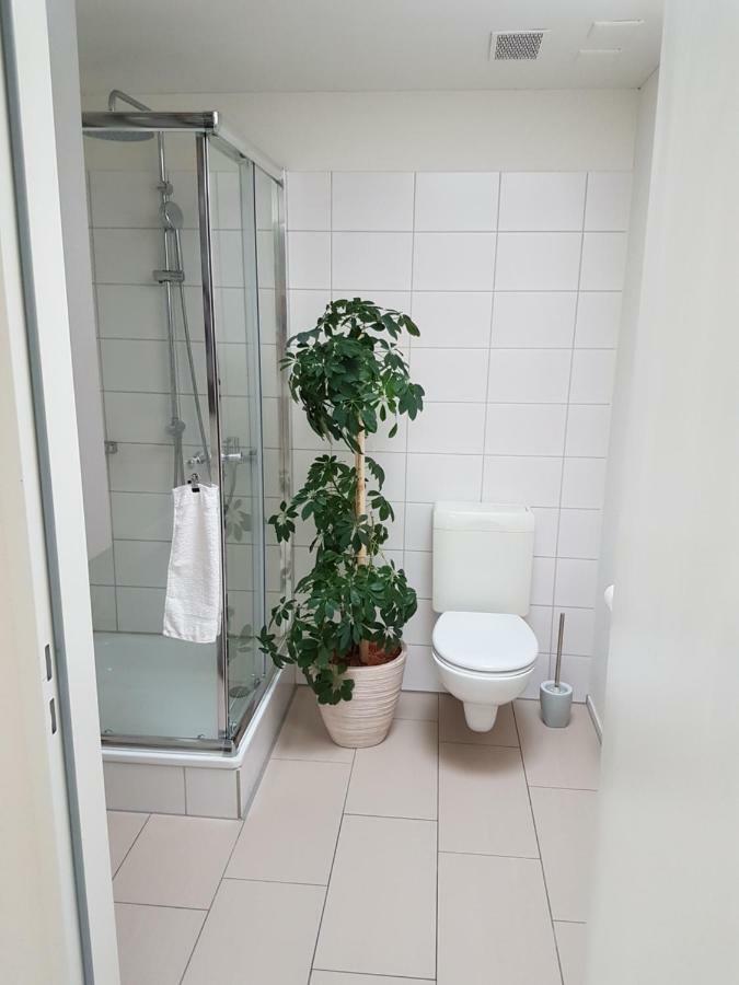 Zimmer In Penthouse-Wohnung Windisch المظهر الخارجي الصورة