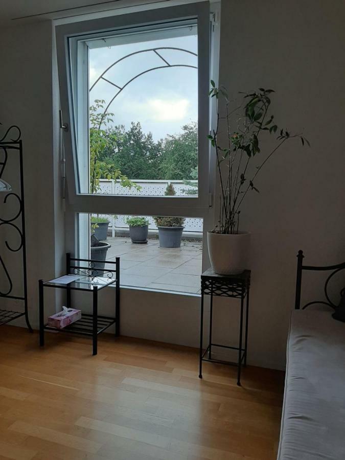 Zimmer In Penthouse-Wohnung Windisch المظهر الخارجي الصورة