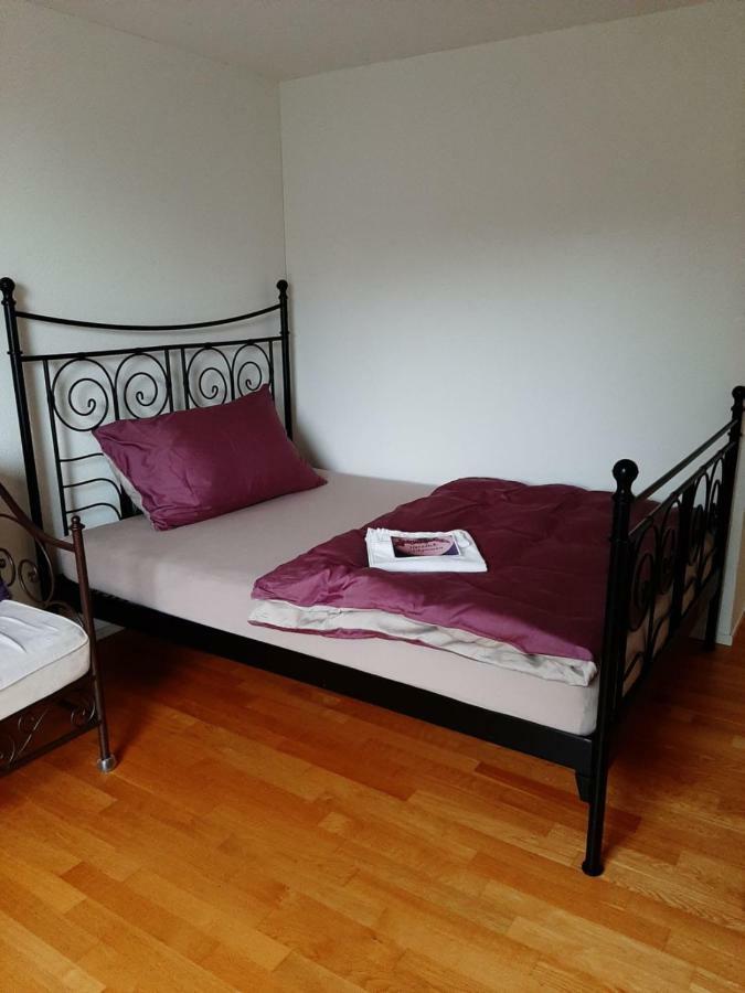 Zimmer In Penthouse-Wohnung Windisch المظهر الخارجي الصورة